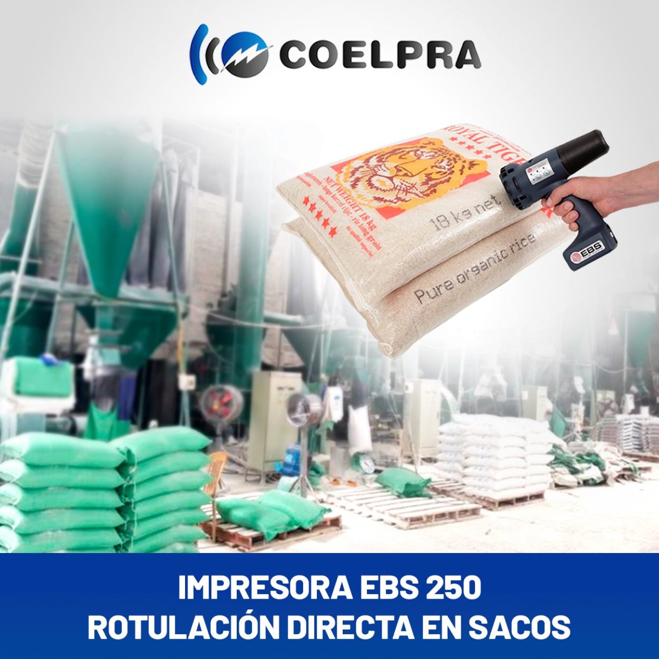 impresora industrial ebs 250